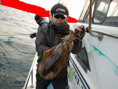 きずなまりん 釣果