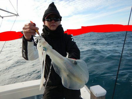 きずなまりん 釣果