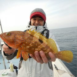 きずなまりん 釣果