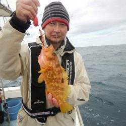 きずなまりん 釣果