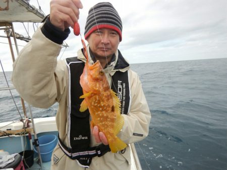 きずなまりん 釣果