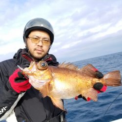 アマテラス 釣果