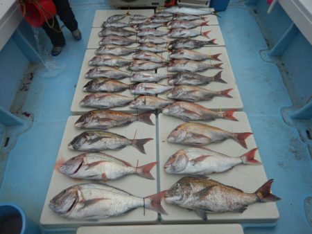 きずなまりん 釣果