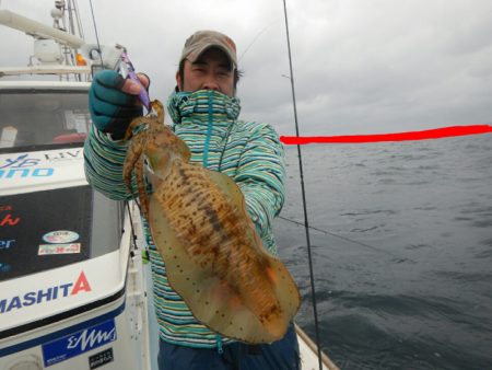 きずなまりん 釣果