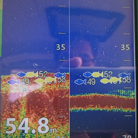 遊漁船 家入 釣果