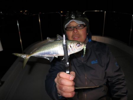 Chase（チェイス） 釣果