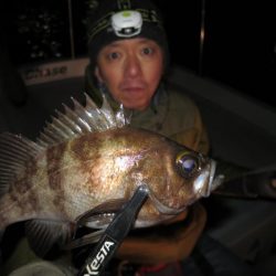 Chase（チェイス） 釣果