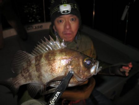 Chase（チェイス） 釣果