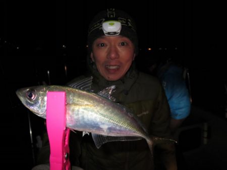 Chase（チェイス） 釣果