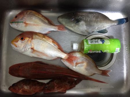 海季丸(みきまる) 釣果