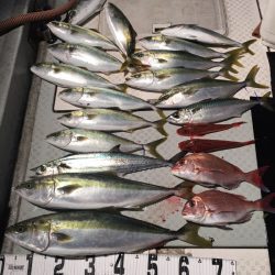 オーシャンスター(Ocean Star) 釣果