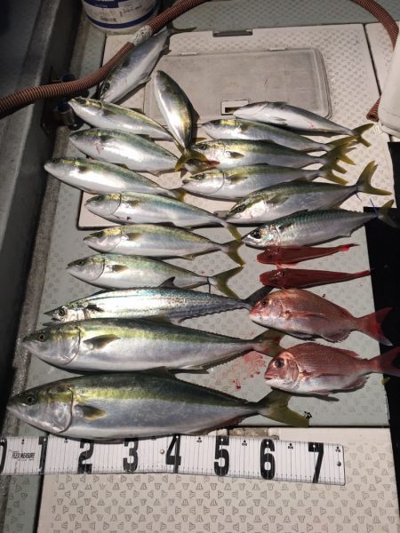 オーシャンスター(Ocean Star) …