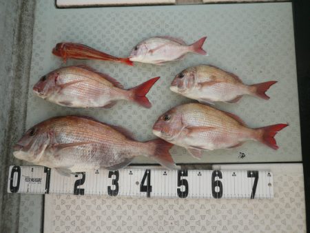 オーシャンスター(Ocean Star) …