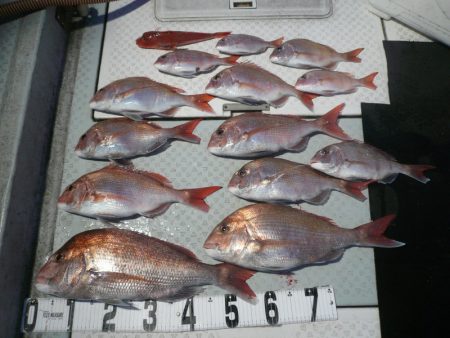 オーシャンスター(Ocean Star) …