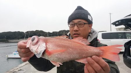 ぽん助丸 釣果