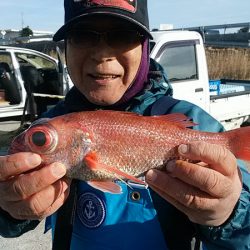 ぽん助丸 釣果