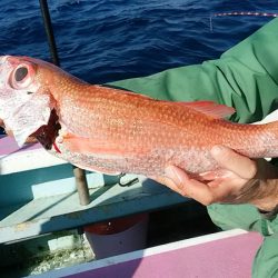 ぽん助丸 釣果