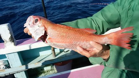 ぽん助丸 釣果