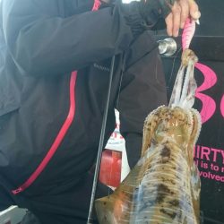 シースナイパー海龍 釣果