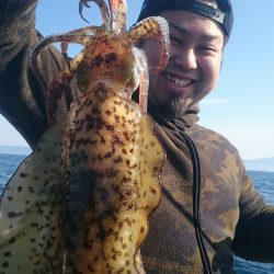 シースナイパー海龍 釣果