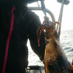 シースナイパー海龍 釣果