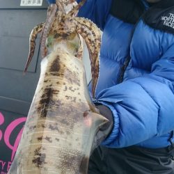 シースナイパー海龍 釣果