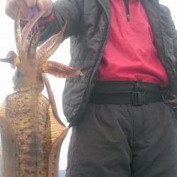 シースナイパー海龍 釣果