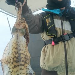 シースナイパー海龍 釣果