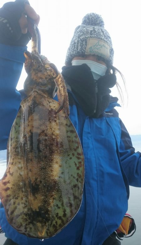 シースナイパー海龍 釣果