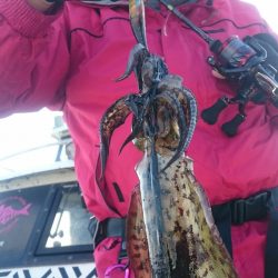 シースナイパー海龍 釣果