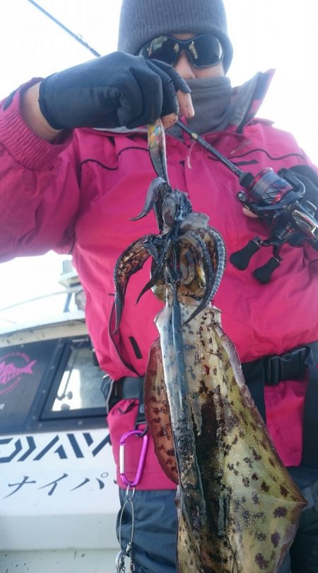 シースナイパー海龍 釣果