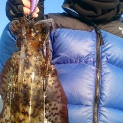 シースナイパー海龍 釣果