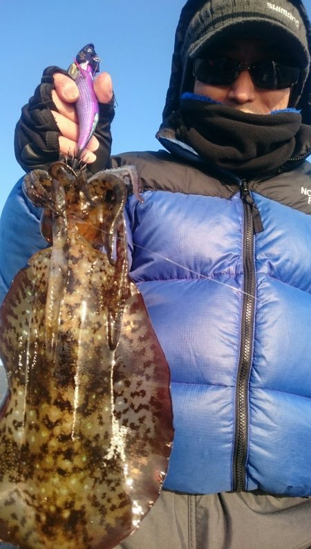 シースナイパー海龍 釣果