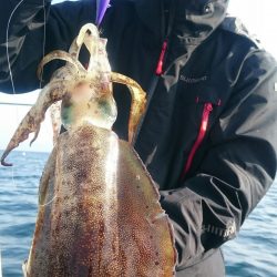 シースナイパー海龍 釣果