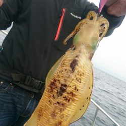 シースナイパー海龍 釣果