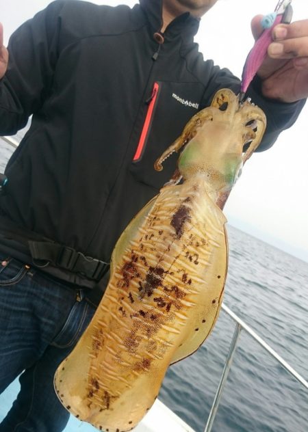 シースナイパー海龍 釣果