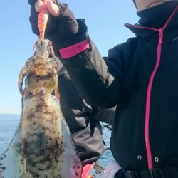シースナイパー海龍 釣果