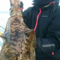 シースナイパー海龍 釣果