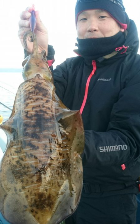 シースナイパー海龍 釣果