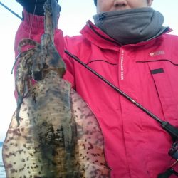 シースナイパー海龍 釣果