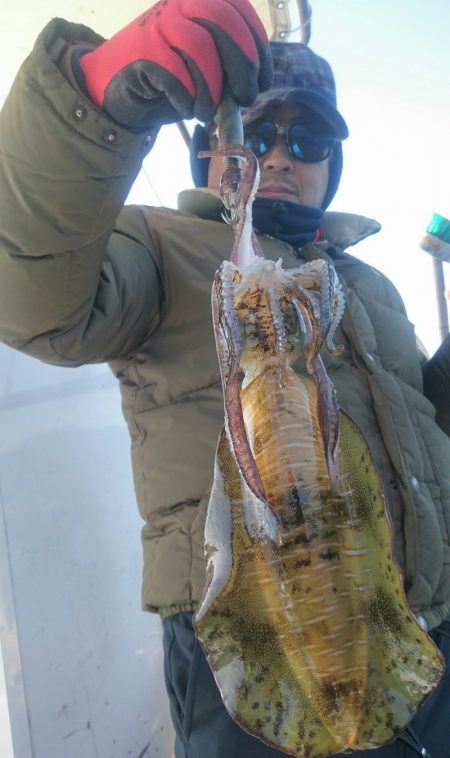 シースナイパー海龍 釣果