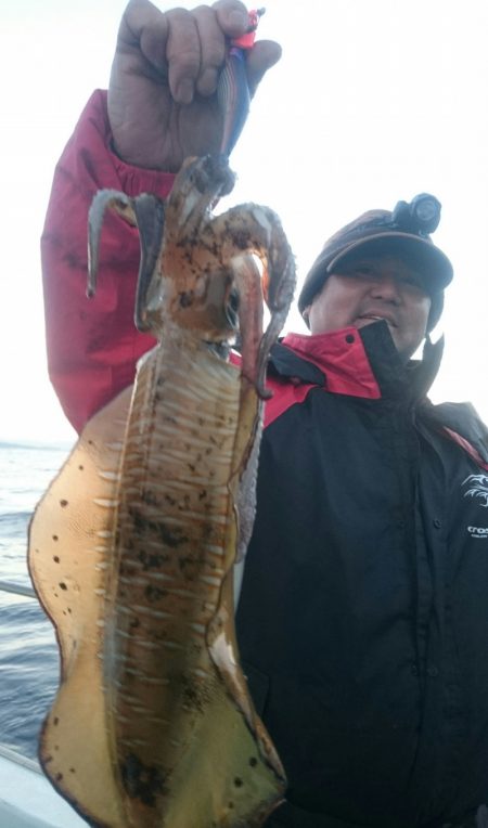 シースナイパー海龍 釣果