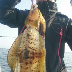 シースナイパー海龍 釣果