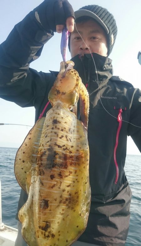 シースナイパー海龍 釣果