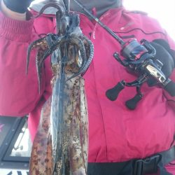 シースナイパー海龍 釣果