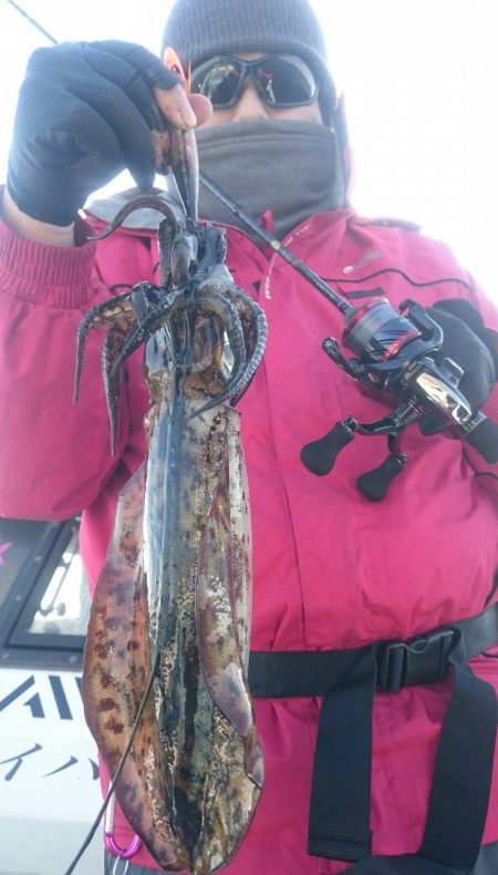 シースナイパー海龍 釣果