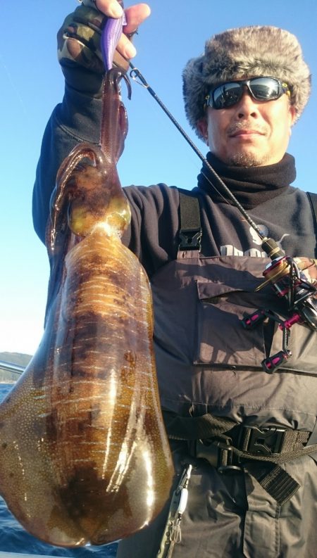 シースナイパー海龍 釣果