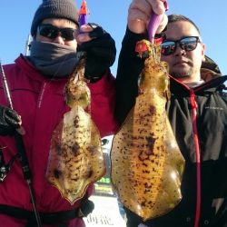 シースナイパー海龍 釣果