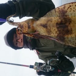 シースナイパー海龍 釣果