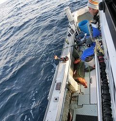 第二清洋丸 釣果